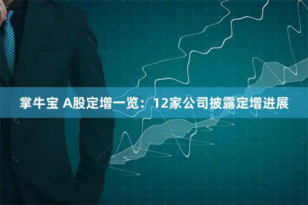 掌牛宝 A股定增一览：12家公司披露定增进展